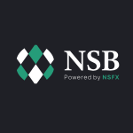 NS Broker logo