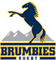 Brumbies Rugby