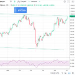 Blanka Bitcoin? RSI indikerar överköpt runt $10 000.