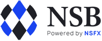 NS Broker logo